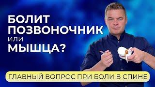 Почему болит спина? Это грыжа диска? Или банальный мышечный спазм? Остеохондроз