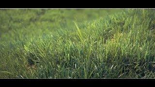 How to Create Realistic Grass in 3d max & vray in URDU  HINDI