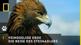FEINDSELIGE ERDE - Die Reise des Steinadlers  National Geographic
