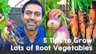 5 Tips to Grow LOTS of Root Vegetables