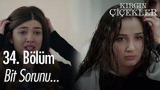 Songül ve Defne neden kaşınıyor? - Kırgın Çiçekler 34. Bölüm