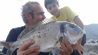 Orata BIG di 2 kg in pesca a fondo in porto - rockfishing e con granchio come esca.