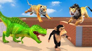 Temple Run Funny Monkey Run Away From Tiger Lion Dinosaur  Farm Animals Vs Wild Animls Fight