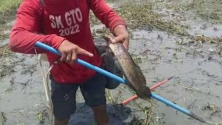 EP40 Electric fishing nag kagulo kami sa dami ng isda habang inaararo