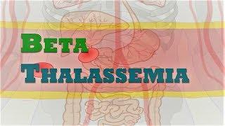Beta Thalassemia  Genetics & Causes  Beta Globin