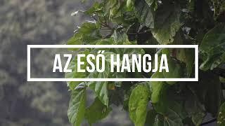 Az eső hangja