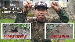 Tips mancing belut untuk pemula