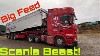 Scania Beast Delivers Huge Load of Feed JCB Damage