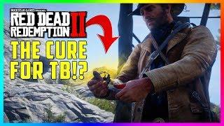 This SECRET Mission Gets Arthur A Cure For Tuberculosis & The BEST Item In Red Dead Redemption 2
