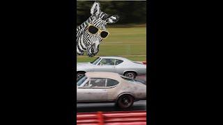 1969 Chevelle vs 1968 Hurst Olds #shorts STOCK DRAG RACE