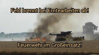  Feld brennt bei Erntearbeiten nähe Selbitz - Großeinsatz Feuerwehren LK Wittenberg am 26.06.2024
