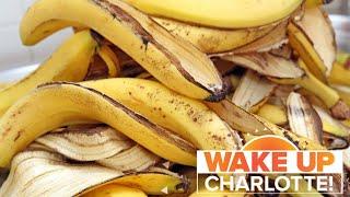 Dont throw away banana peels. They can help you lose weight