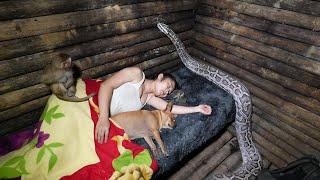 While Sleeping a Large Python Attacks and Prepares to Constrict... Huyen P.2 - Series I