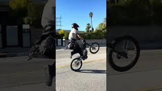 Talaria Electric Dirt Bike Wheelie #talaria  #electricdirtbike