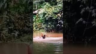 Orang lucu  Sedang Mandi di Sungai di Kejar Buaya