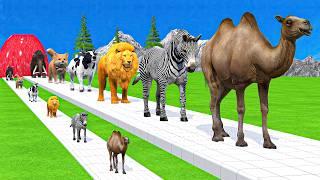 Paint & Animals DuckGorillaLionElephantCowSheep Fountain Crossing Transformation Animal Cartoon