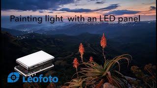 Painting Light with an LED Leofoto FL-120N panel