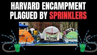 Harvard Universitys student protest encampment was almost sabotaged...by sprinklers.