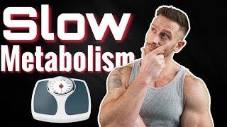 6 Signs of a Slowing Metabolism not just weight gain