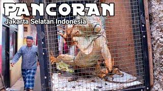 Di Gang Sempit Pancoran Ternyata Banyak Kuburan di Belakang Rumah  Real Life in Jakarta Indonesia