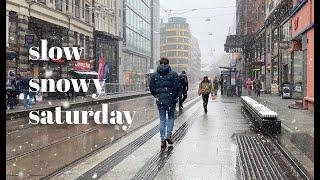 My simple Scandinavian life  Oslo snow storm City living with a dog  Norway lifestyle