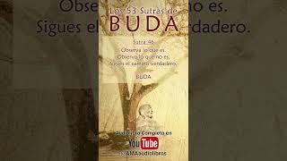 Buda - Sutra 46 Del Audiolibro Los 53 Sutras de Buda #audiolibro #buda #budismo #espiritualidad