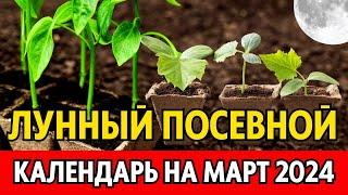 Когда сеять на рассаду в МАРТЕ 2024. Точный лунный посевной календарь на март 2024 по дням