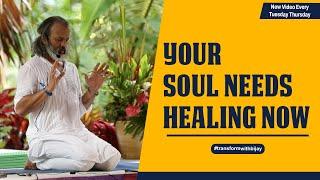 Your Soul Needs Healing NOW  Bijay Anand