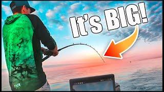 Monster Salmon Everywhere Lake Ontario Fishing Gone Wild 