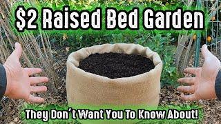 They Dont Want You To Know About This $2.00 Raised Garden Bed From The Big Box Store