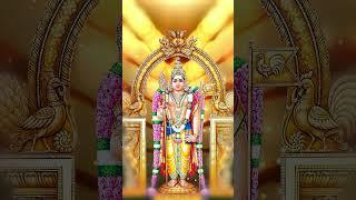 வேதாந்த நாயகன்  Vedanta Nayakan #shorts #murugansongs #tamildevotional #lordmurugansongs #tamil