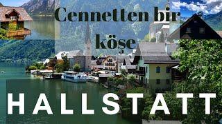 Avusturya’da saklı bir cennet “Hallstatt”  #hallstatt #avusturya #avrupa #gezi #alpen