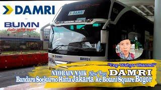 Nyobain naik  New Bus DAMRI  Bandara Soekarno-Hatta Jakarta ke Botani Square Bogor