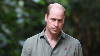 Prince William’s brutal response to Prince Harry’s royal exit revealed