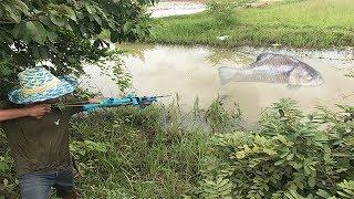 Slingshot Bowfishing To Shot Huge Fish Make By Creative Man In My Village