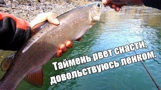 Рыбалка на Алтае - таймень рвет лескуЛЕНОК хариусШтурм реки Аргут на лодках Солар +Tohatsu Выдра