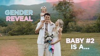 OFFICIAL GENDER REVEAL BABY CLARK IS A…