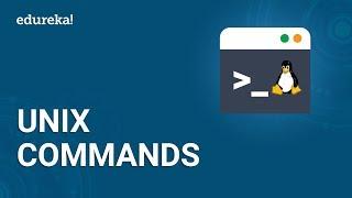 Basic UNIX Commands  UNIX Shell Commands Tutorial for Beginners  UNIX Training  Edureka