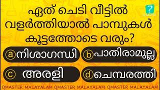 ഈ ചെടിയുടെ അടുത്ത് പാമ്പുകൾ കൂട്ടമായി വന്നുകിടക്കും.....  l Malayalam Quiz l GK l Qmaster Malayalam