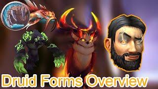 How to Obtain ALL Druid Forms  World of Warcraft Class Guides