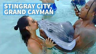 Stingray City An Exciting Grand Cayman Island Adventure