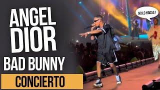 ANGEL DIOR SE CUELA  EN CONCIERTO DE BAD BUNNY 