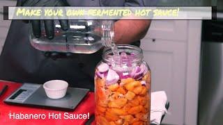 How to Make Pineapple Habanero Hot Sauce Making the fermentation