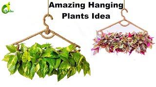 Easy Hanging Planter Making With Waste Materials Hanging Plant Idea For HomePlantsORGANIC GARDEN