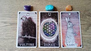 ️HOW ARE THEY THINKING AND FEELING ABOUT YOU TODAY? ️PICK A CARD LOVE TAROT