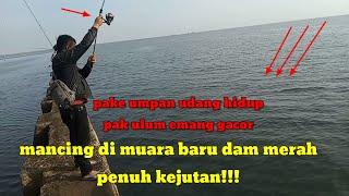 mancing di muara baru dam merah 6 Desember 2023 #muarabaru #mancing #dammerah