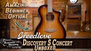 One Of The BEST Beginner Guitars  Breedlove Discovery S Concert Review