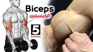 فجر عضلة البايسبس بهذه 5 تمارين الرائعة  How To Build Your Biceps