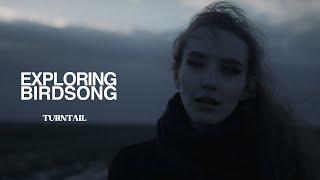 Exploring Birdsong - Turntail Official Music Video