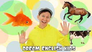 This is a Fish - This is not a Fish Grammar Song  Simple Songs With Matt  Dream English Kids